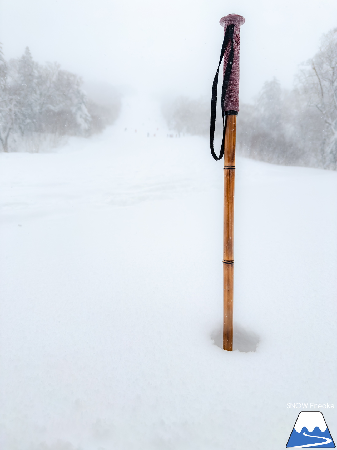 キロロリゾート｜北海道が世界に誇る、ふわっふわのパウダースノーシーズンがやって来ましたよ～♪